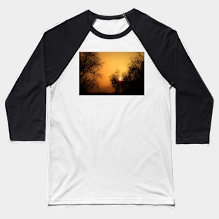 A bird watching the sunset? Baseball T-Shirt